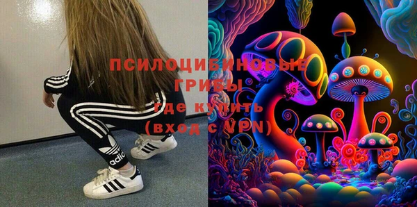 дживик Баксан