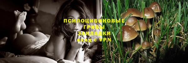 spice Балахна