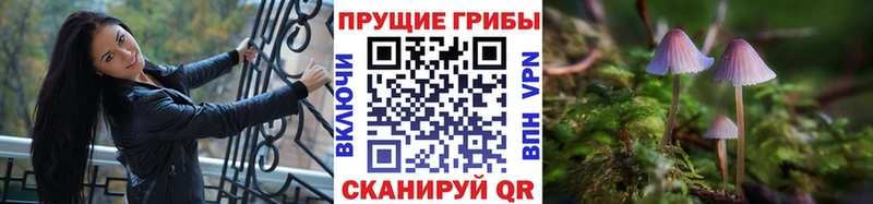 Галлюциногенные грибы Magic Shrooms  hydra   Избербаш 